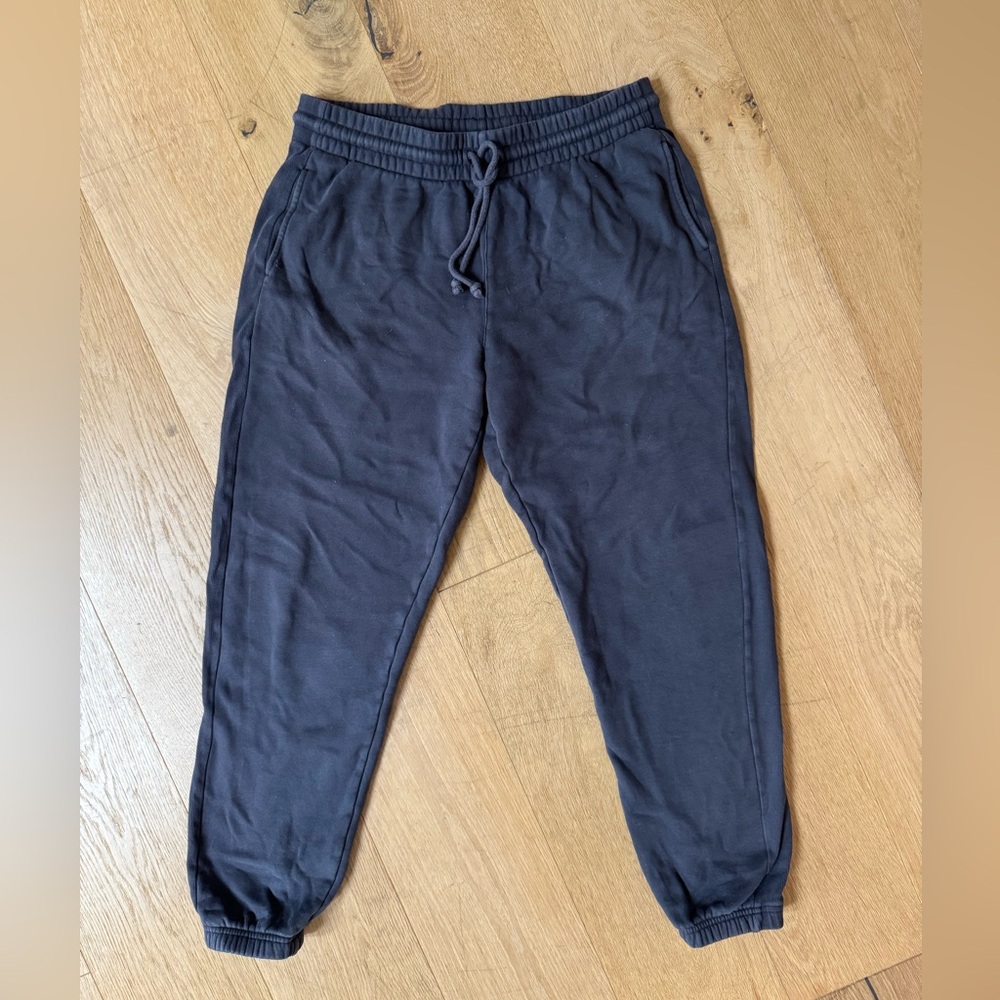 Aritzia COZY sweat pants